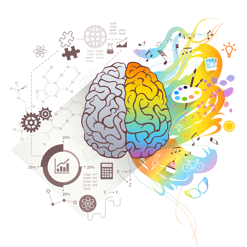 difference in brain for stage based learning in preschoolers