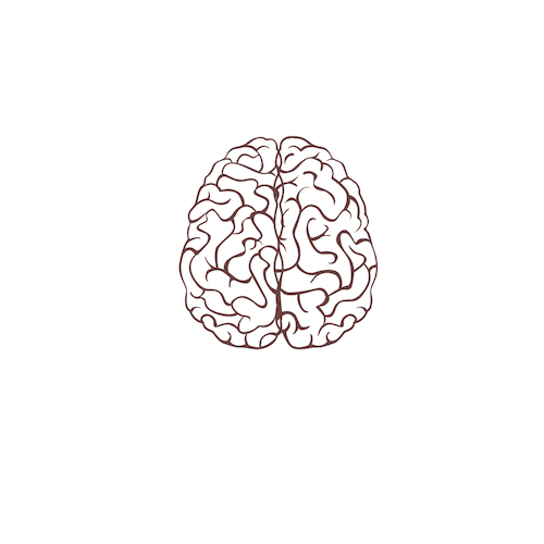 difference in brain for stage based learning in preschoolers